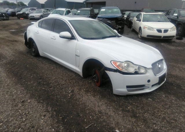 2011 JAGUAR XF image