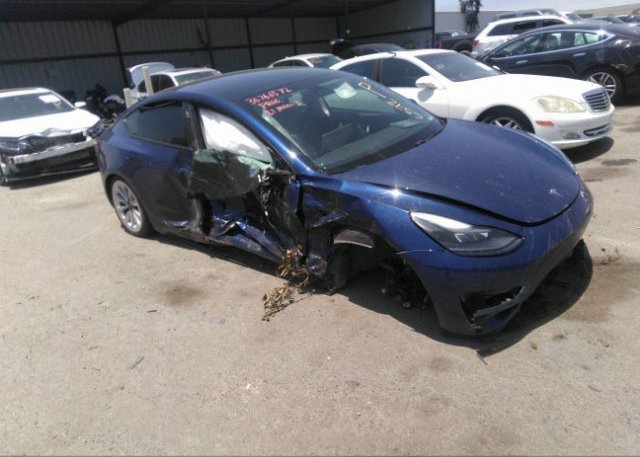 2021 TESLA MODEL 3 image